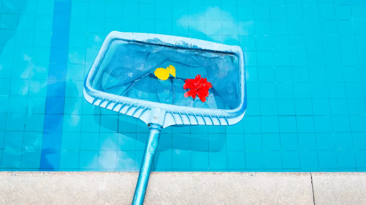 Kolam Renang Tetap Jernih