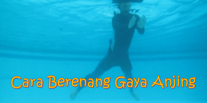 Cara Berenang Gaya Anjing