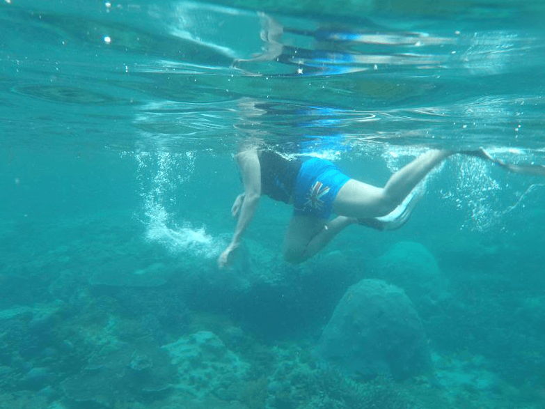 Cara Berenang Gaya Anjing