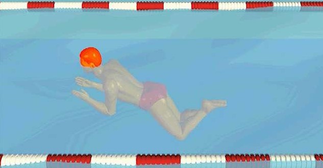 manfaat berenang gaya katak