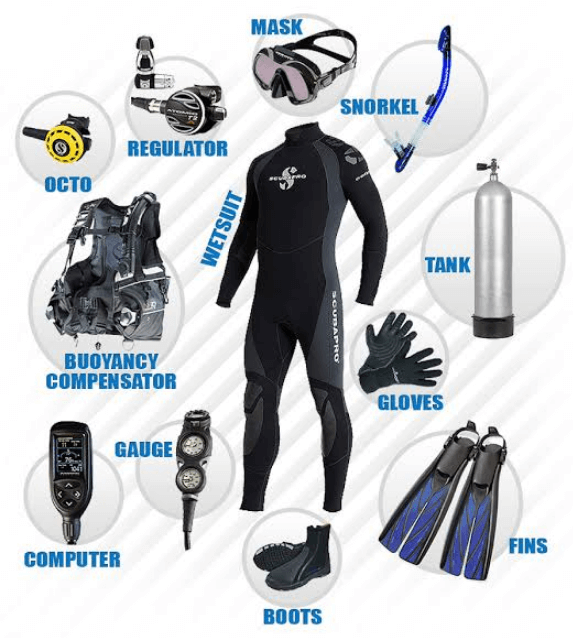 14 Peralatan Menyelam yang Wajib digunakan untuk Pemula