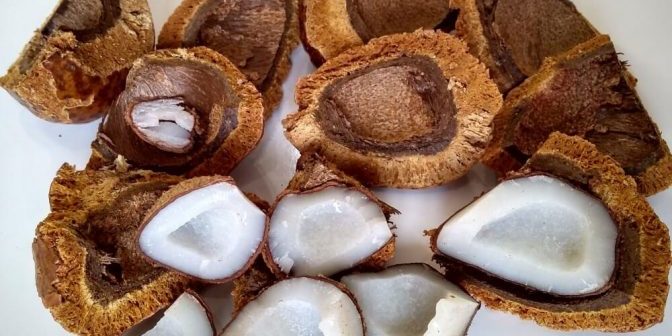 Manfaat Buah Zuriat Untuk Promil