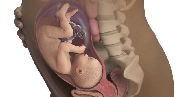 agar bayi sehat dalam kandungan