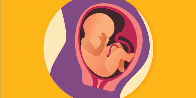 Kontraksi dini - kontraksi pada kehamilan