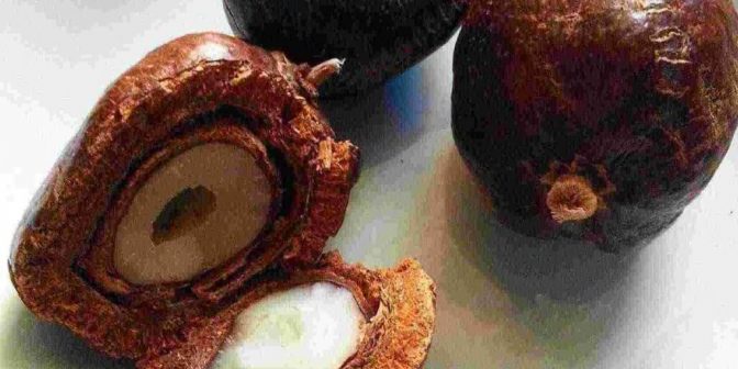 Mengkonsumsi Buah Zuriat Untuk Promil