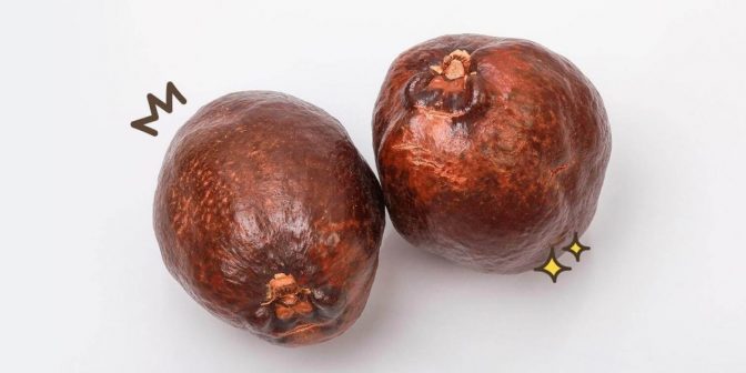 Buah Zuriat Untuk Promil via parenting.orami.co.id