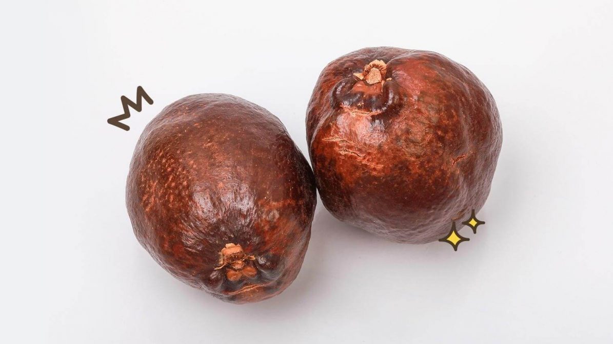 Buah Zuriat Untuk Promil via parenting.orami.co.id