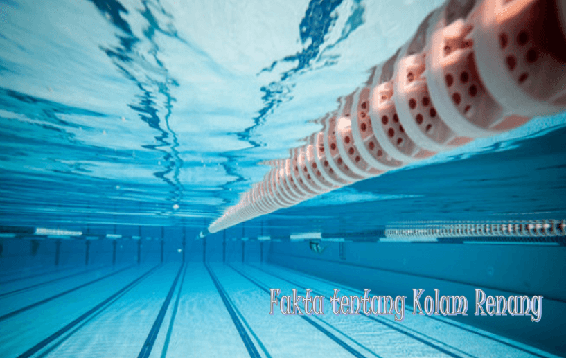 Fakta tentang Kolam Renang
