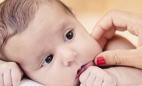 Lidah Bayi Putih via ibupedia.com