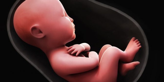 Manfaat Air Kelapa untuk Kehamilan Ibu dan Janin