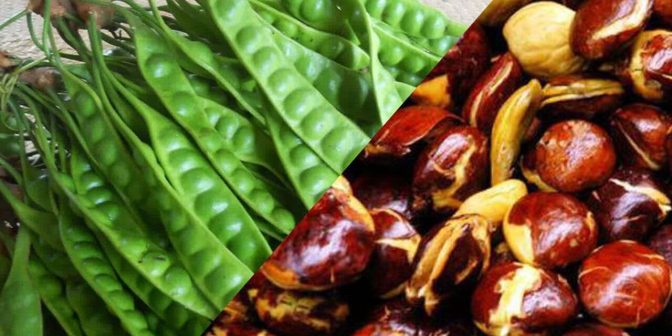 ibu hamil makan jengkol