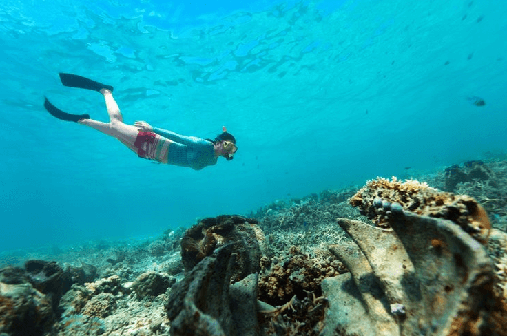 kaki katak untuk renang