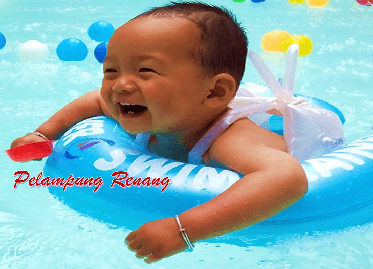Pelampung Renang