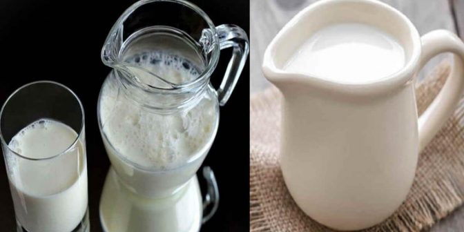 Susu Beruang Untuk Kehamilan