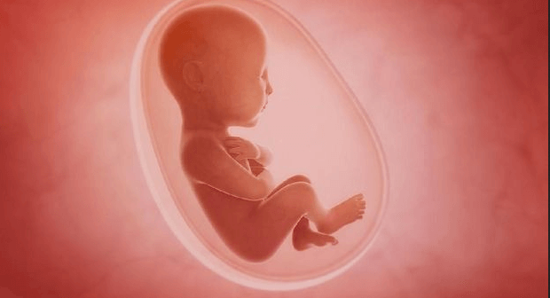 Ingin Hamil yang Sehat? Penuhi 7 Syarat Penting Ini