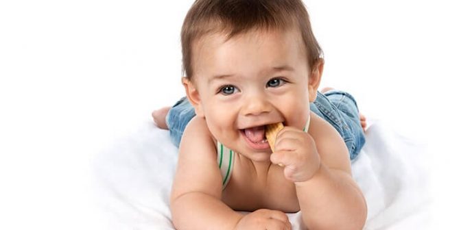 biskuit bayi promina Sumber lunajournal.biz'