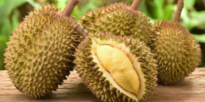 Durian Untuk Program Hamil