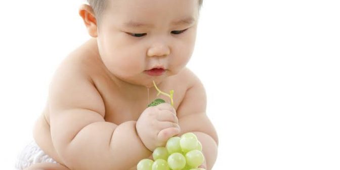 Durian Untuk Program Hamil