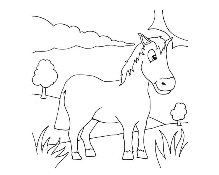 mewarnai gambar hewan kuda