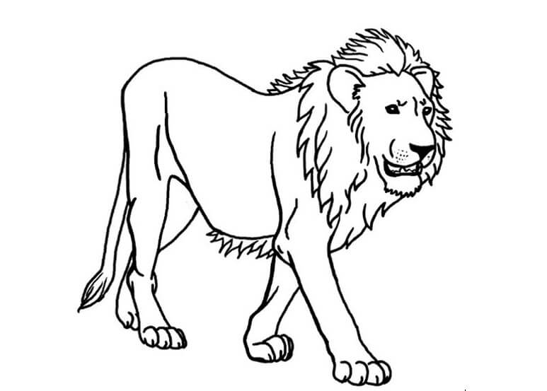 [137 Sketsa] Download Gambar untuk Belajar Mewarnai Anak-Anak