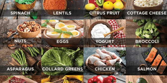 nutrisi awal kehamilan