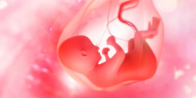 Posisi Bayi Dalam Kandungan