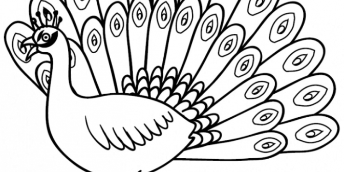 sketsa gambar burung