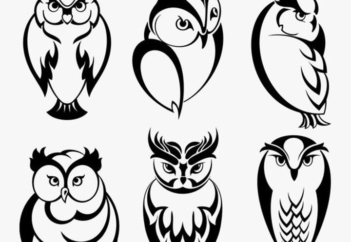 sketsa gambar burung hantu