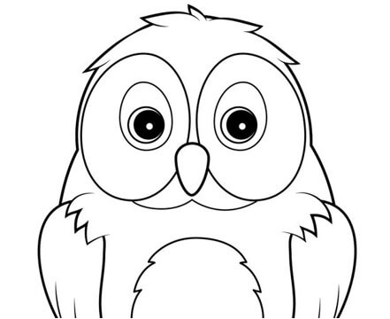 sketsa gambar burung hantu