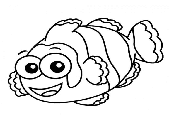 sketsa ikan hias nemo gendut