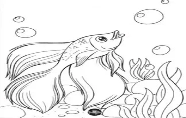 Sketsa ikan hias unik