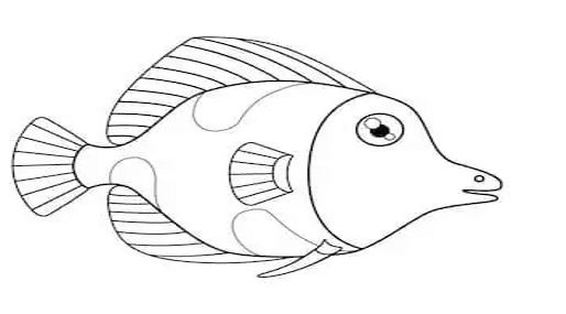 sketsa ikan hias