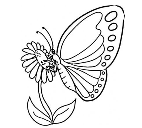 [137 Sketsa] Download Gambar untuk Belajar Mewarnai Anak-Anak