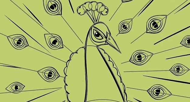 bentuk bulu burung merak