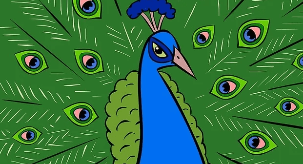 sketsa gambar burung merak