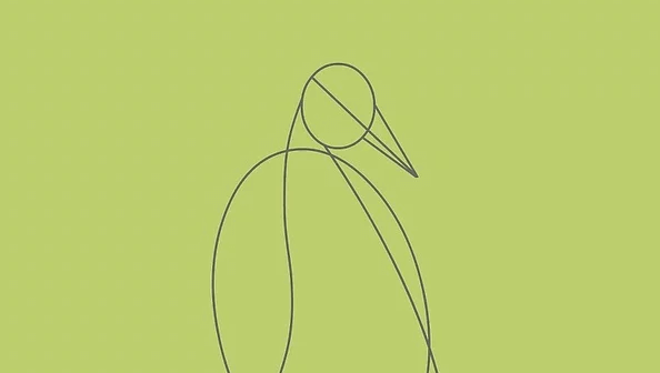 bentuk oval burung merak