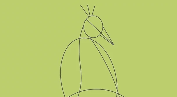 entena kepala burung merak