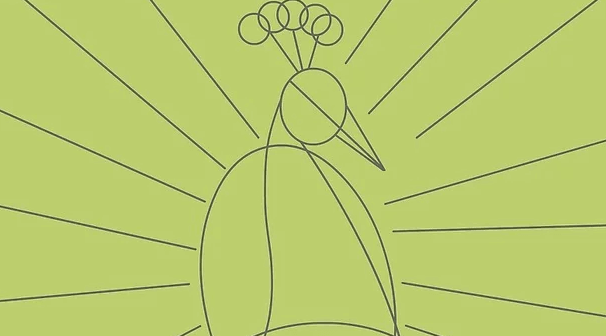 garis disekitar kepala burung merak