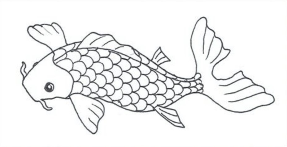 Sketsa Gambar Ikan Koi