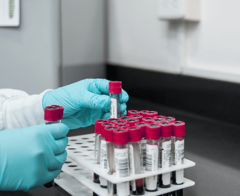 eksperimen sains sederhana