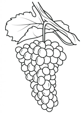 [137 Sketsa] Download Gambar untuk Belajar Mewarnai Anak-Anak