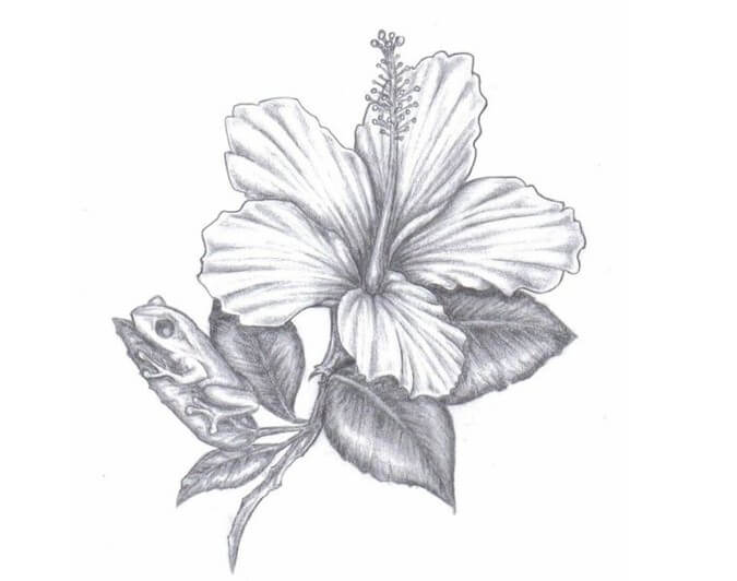 gambar mewarnai bunga