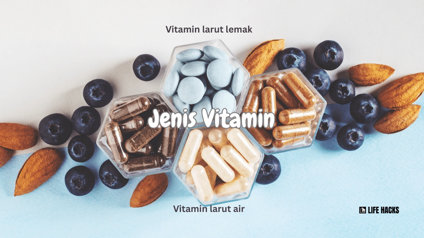 jenis vitamin