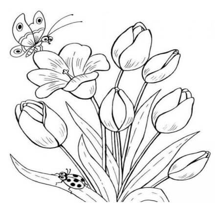 [137 Sketsa] Download Gambar untuk Belajar Mewarnai Anak-Anak