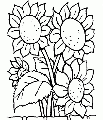 gambar mewarnai bunga