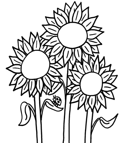 gambar mewarnai bunga