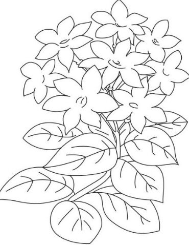 gambar mewarnai bunga