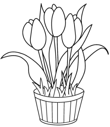 gambar mewarnai bunga