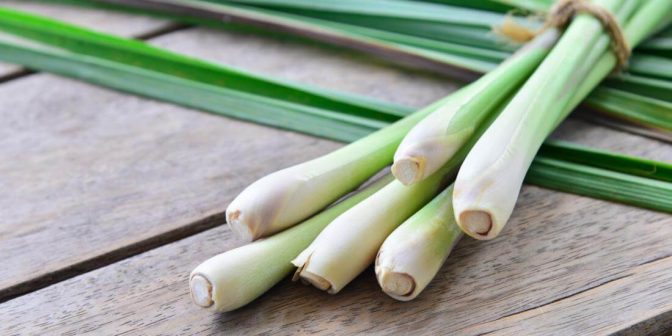 Jamu Setelah Melahirkan