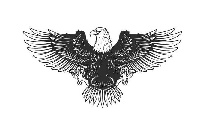 sketsa burung garuda